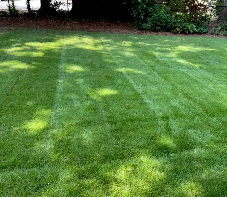 Fresh mow and stripe