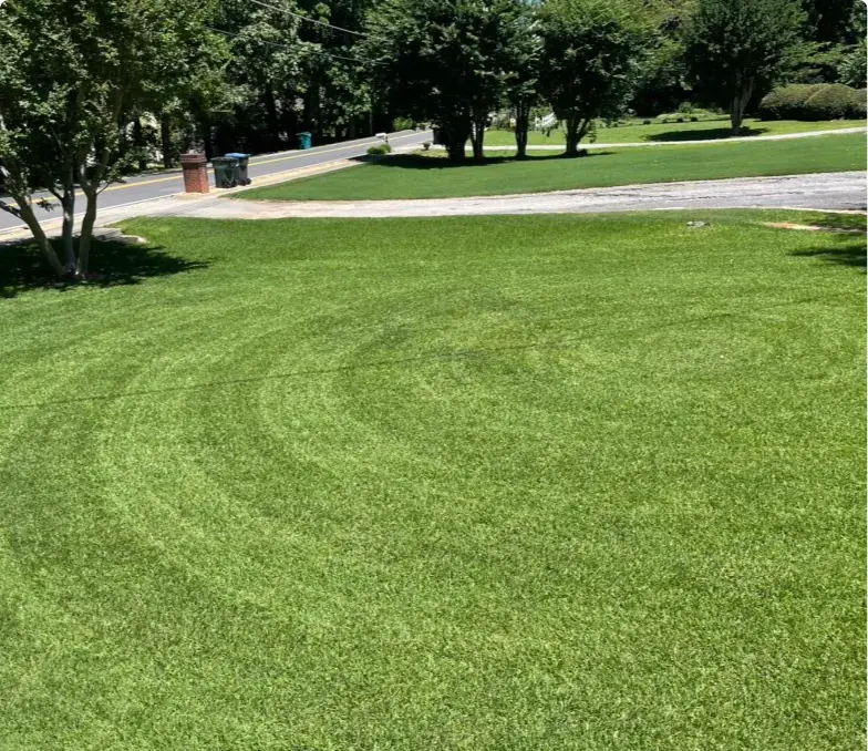 Edged and striped